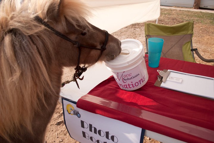 Mane Solutions Open House