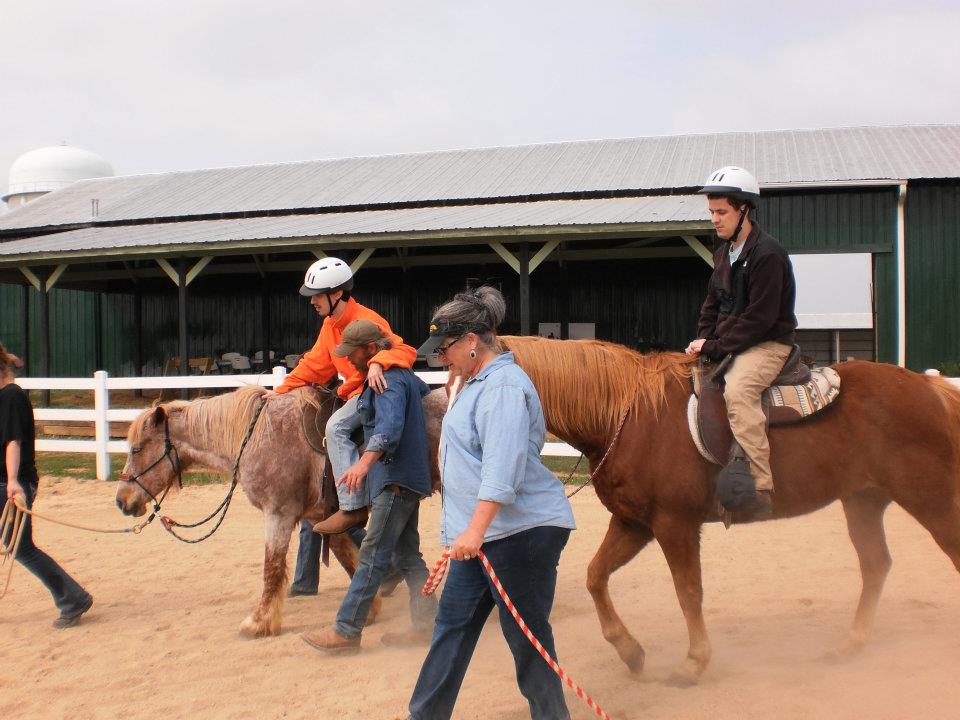 Open Horse Show at Mane Solutions
