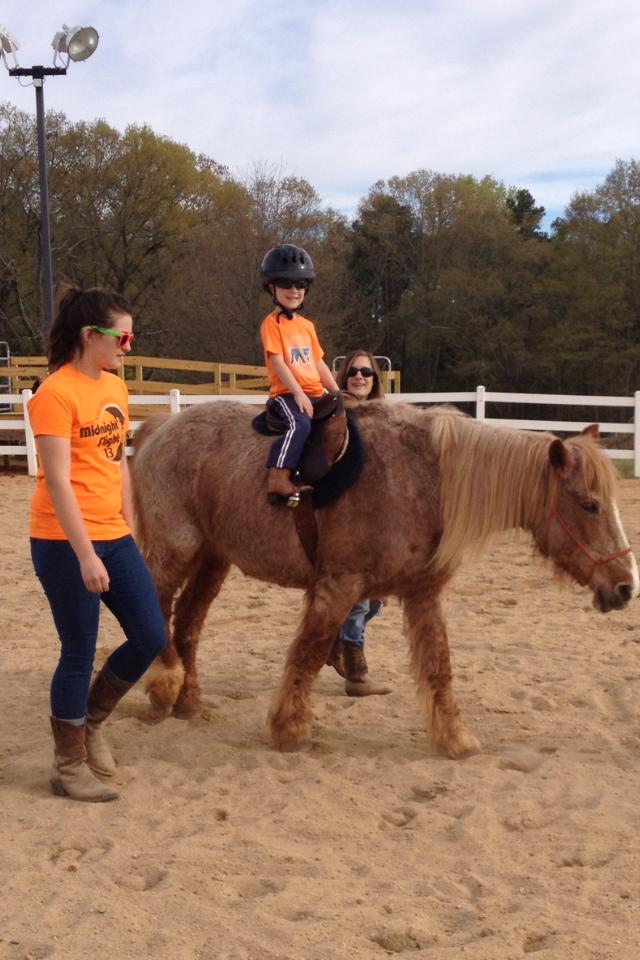 Lessons at Mane Solutions