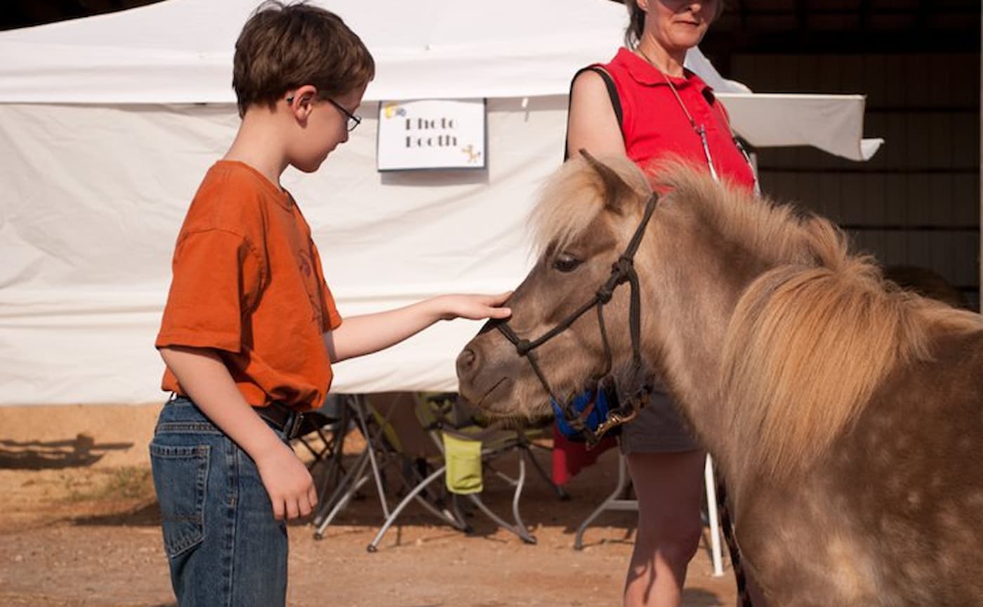 Mane Solutions Open House