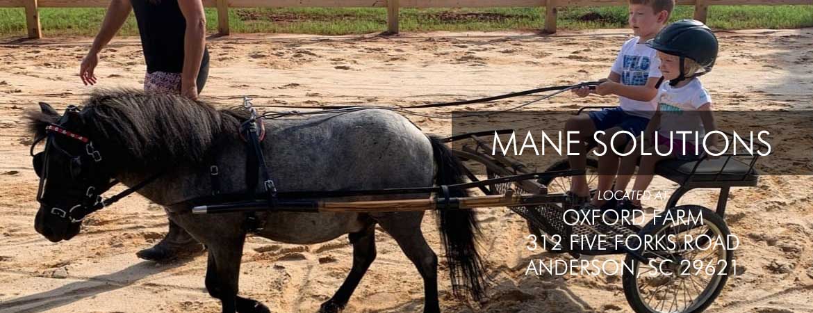 Mane Solutions